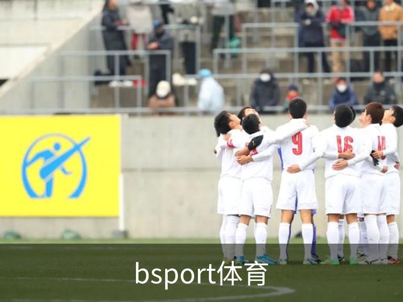 了解bsport体育